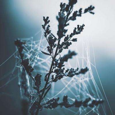 leyu·乐鱼(中国)体育官方网站