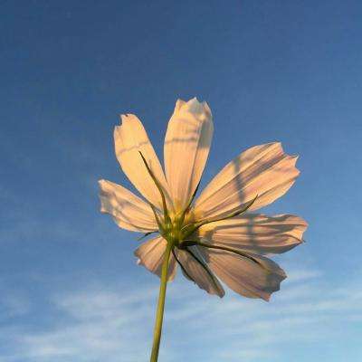 BOB半岛·体育官方平台