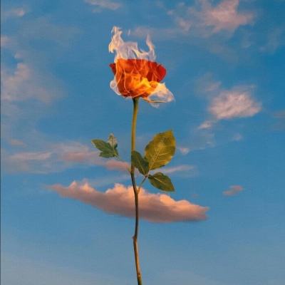 beat365手机版官方网站手机app下载