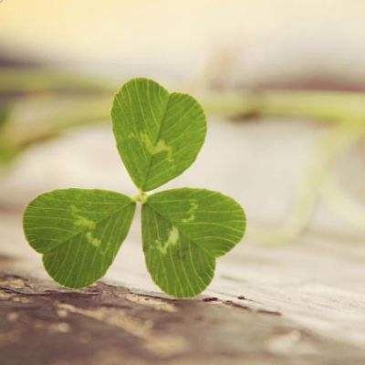 manbetx万博官网网页版