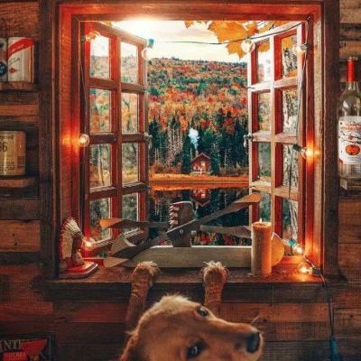 开运app官方登录入口